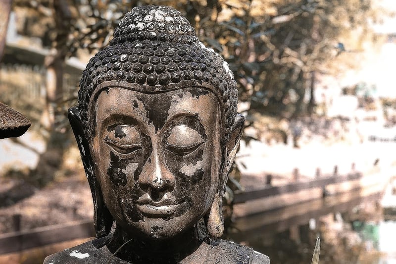 Mindfulness Journeys